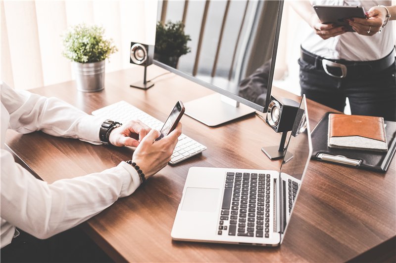 深圳灭鼠,常见老鼠种类及灭鼠方法